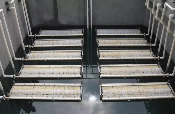 1567055737654705.png 1567055737654705.png