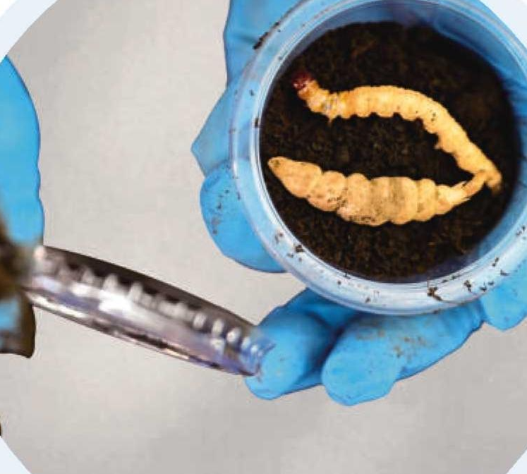 圖片關(guān)鍵詞